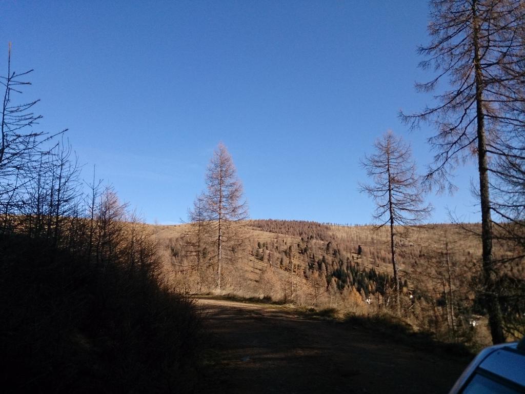 Haus Othmar Schabuss Pensionat Bad Kleinkirchheim Exteriör bild