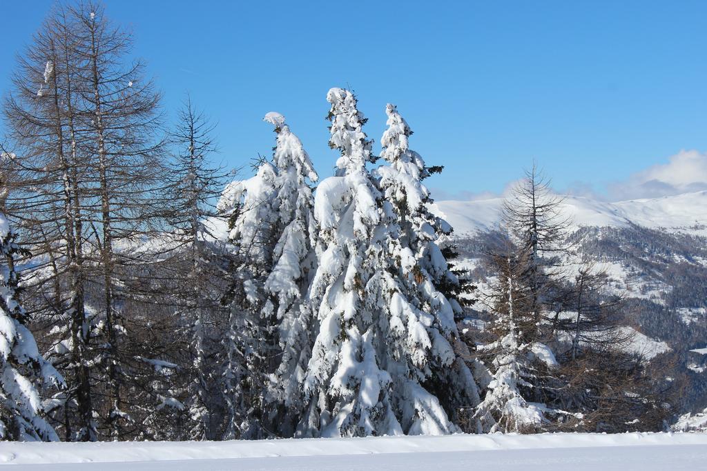 Haus Othmar Schabuss Pensionat Bad Kleinkirchheim Exteriör bild