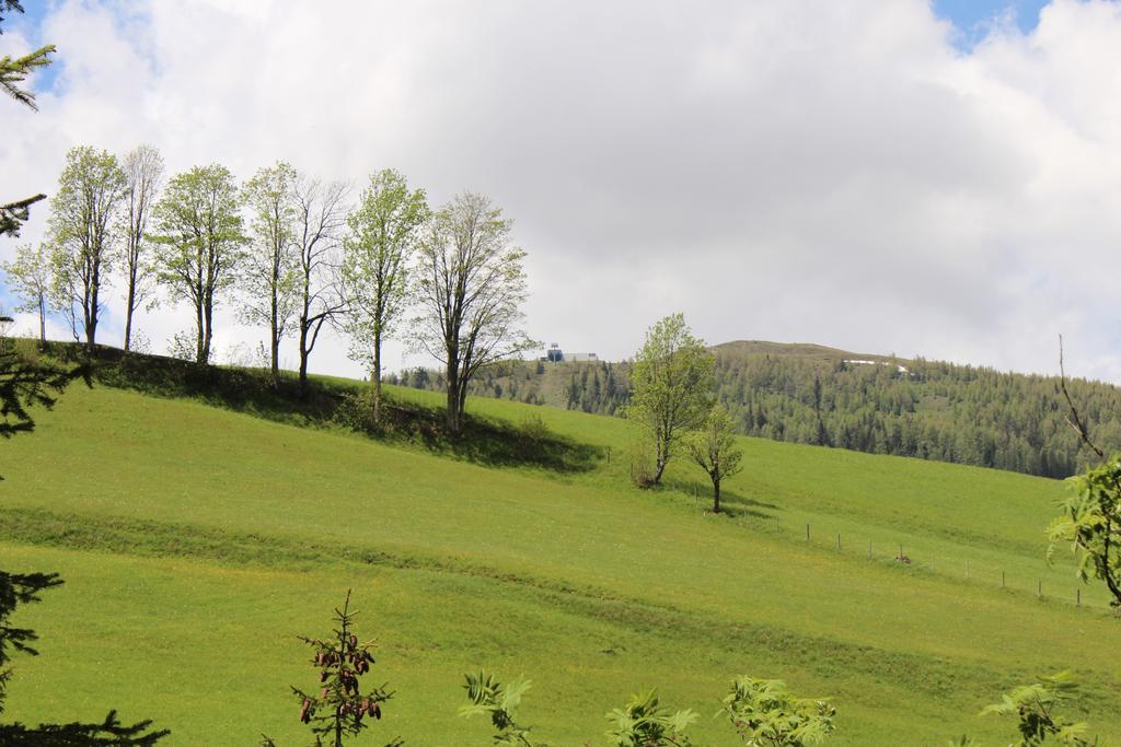 Haus Othmar Schabuss Pensionat Bad Kleinkirchheim Exteriör bild