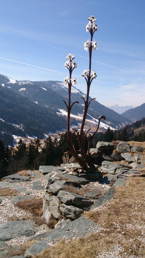 Haus Othmar Schabuss Pensionat Bad Kleinkirchheim Exteriör bild